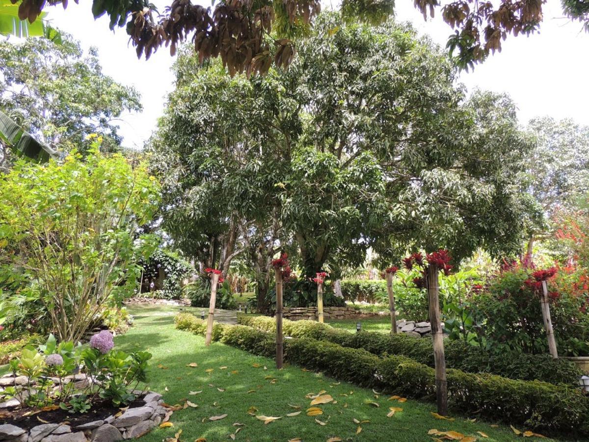 Sitio Alto Da Montanha - Voce Em Paz Com A Natureza ปาคอตชิ ภายนอก รูปภาพ