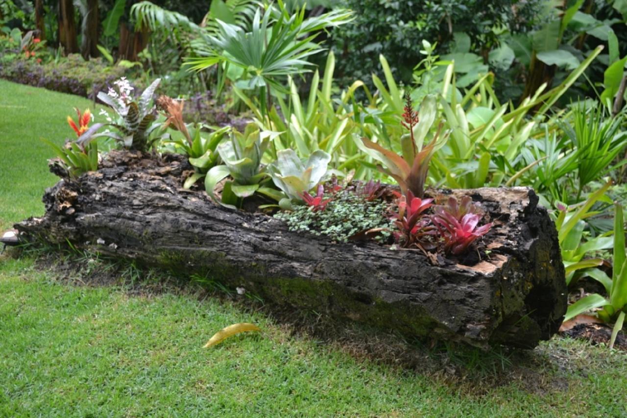 Sitio Alto Da Montanha - Voce Em Paz Com A Natureza ปาคอตชิ ภายนอก รูปภาพ