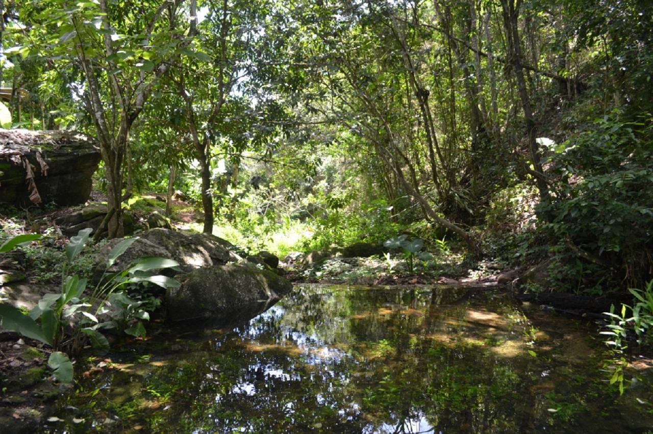 Sitio Alto Da Montanha - Voce Em Paz Com A Natureza ปาคอตชิ ภายนอก รูปภาพ