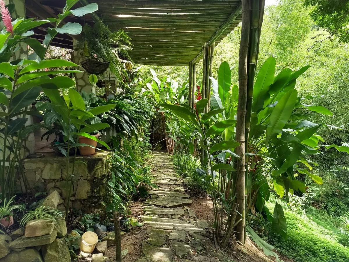 Sitio Alto Da Montanha - Voce Em Paz Com A Natureza ปาคอตชิ ภายนอก รูปภาพ