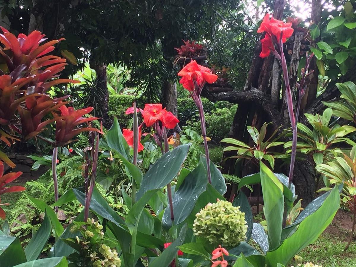 Sitio Alto Da Montanha - Voce Em Paz Com A Natureza ปาคอตชิ ภายนอก รูปภาพ